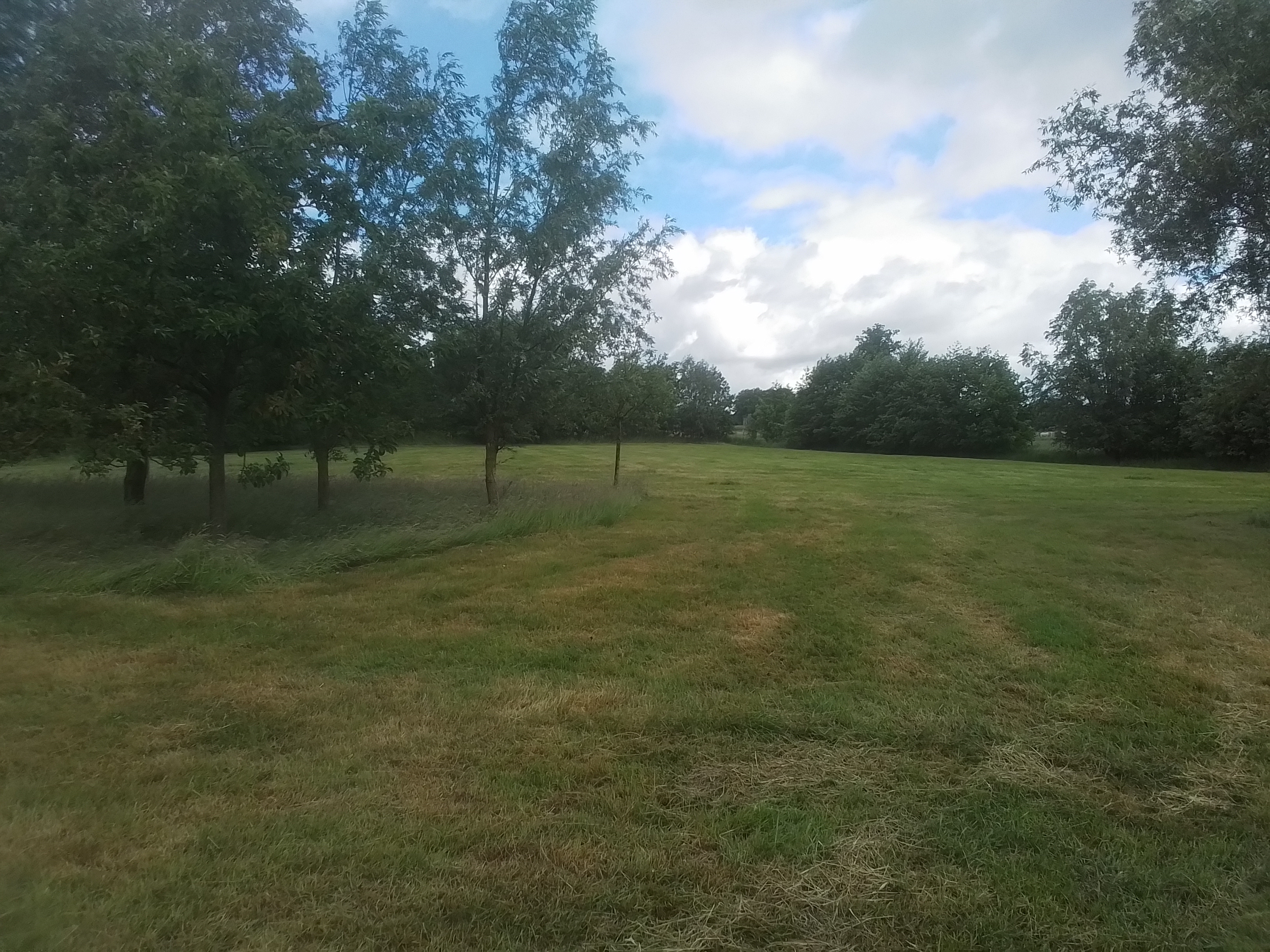 Overzicht van de weiden