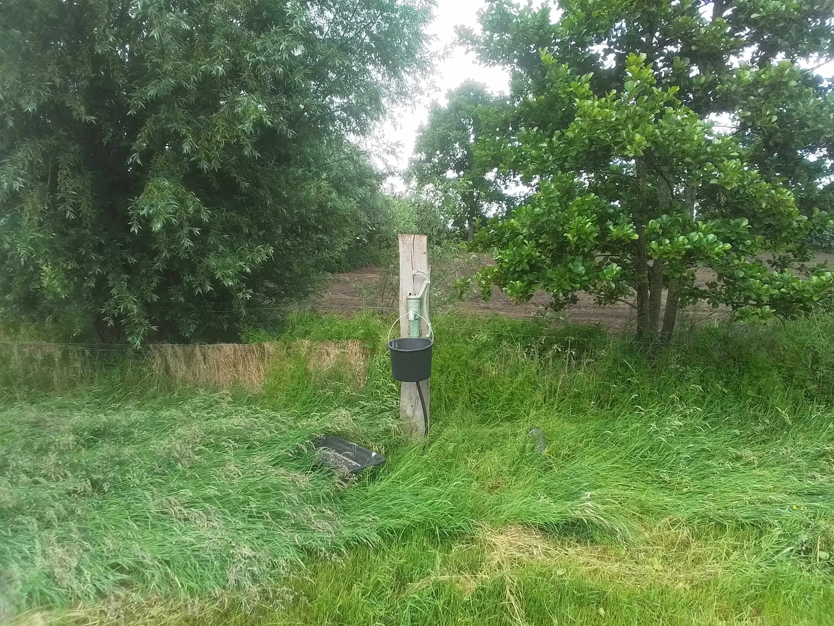 Waterput met handpomp (niet drinkbaar)