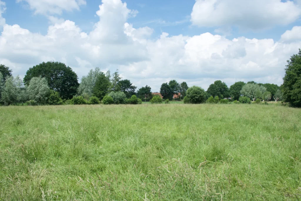 Kamp Amands Overzicht van de weide