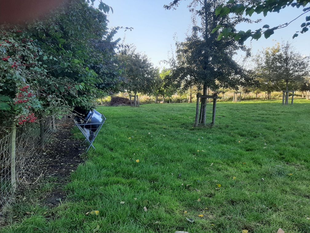 Kamp Dokkene, overzicht weide