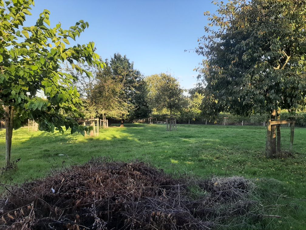 Kamp Dokkene, overzicht weide