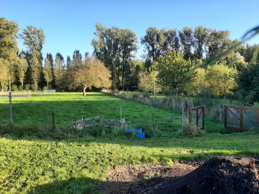 Kamp Dokkene, extra speelweide 30are