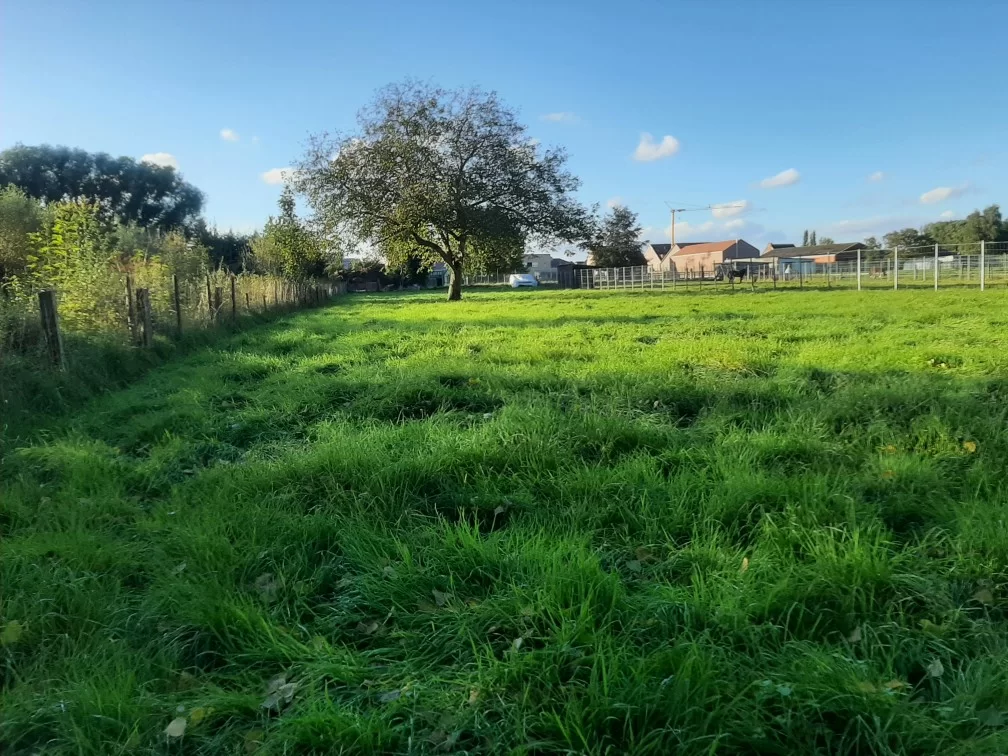 Kamp Dokkene, Extra speelweide 30are