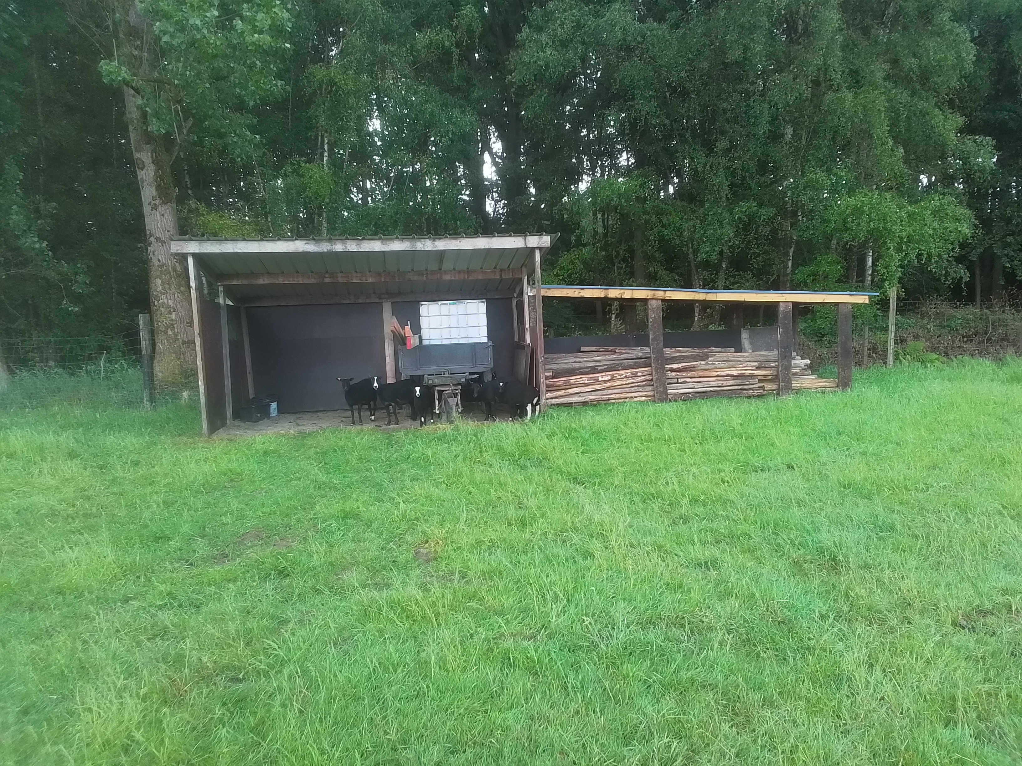 Kamp Kravaal, Afdak met sjorhout