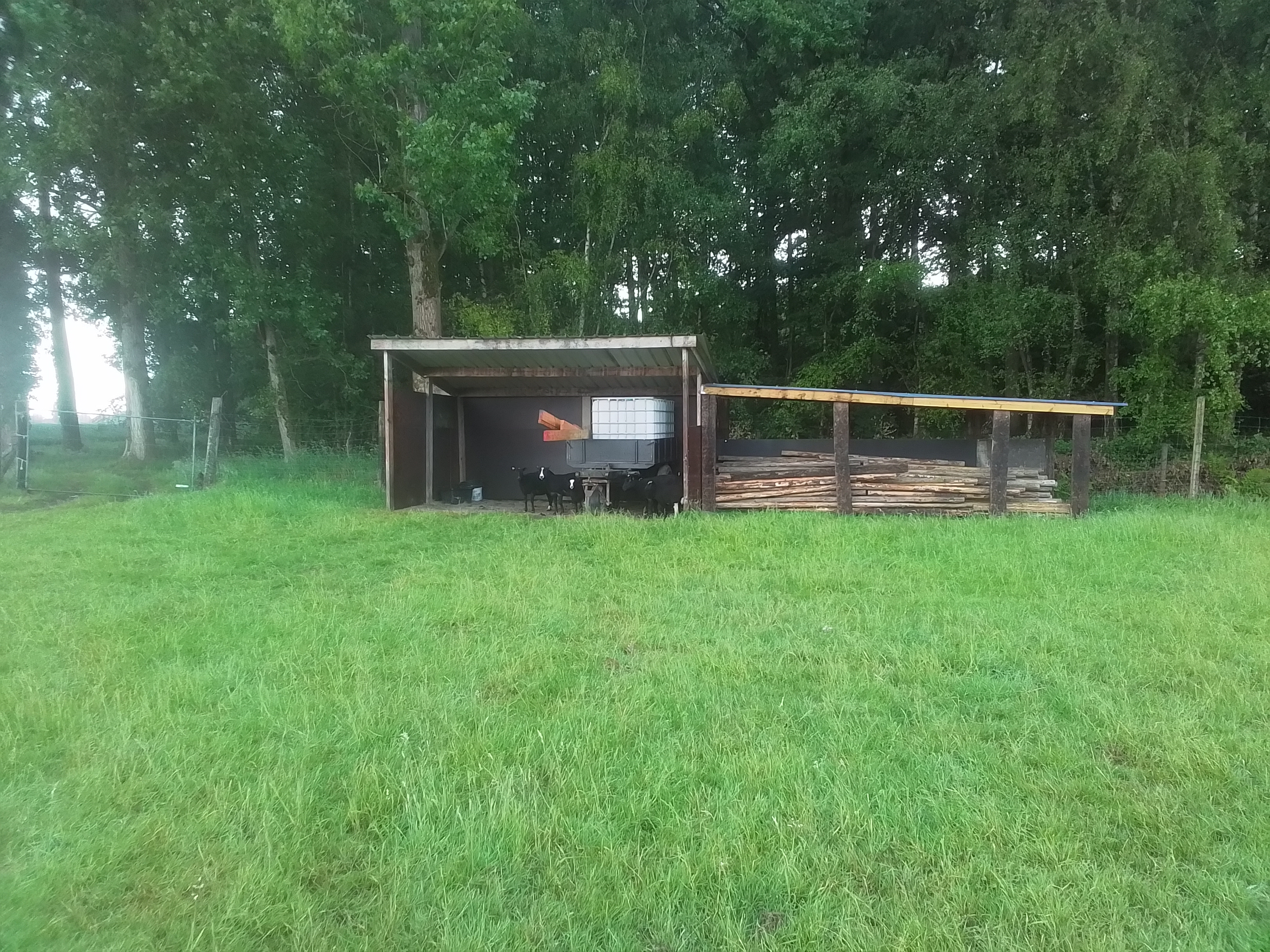 Kamp Kravaal, Afdak met sjorhout