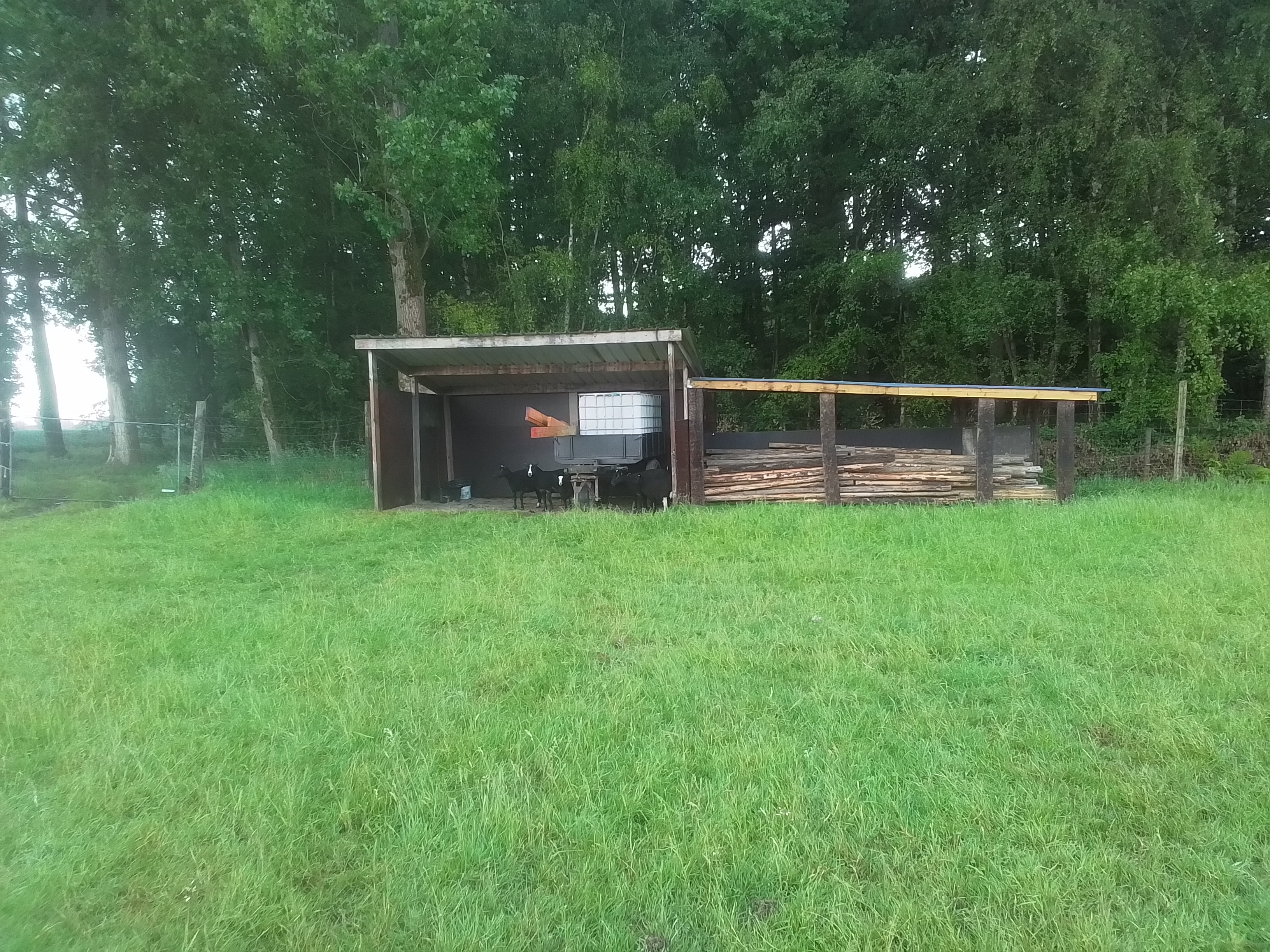 Kamp Kravaal, Afdak met sjorhout