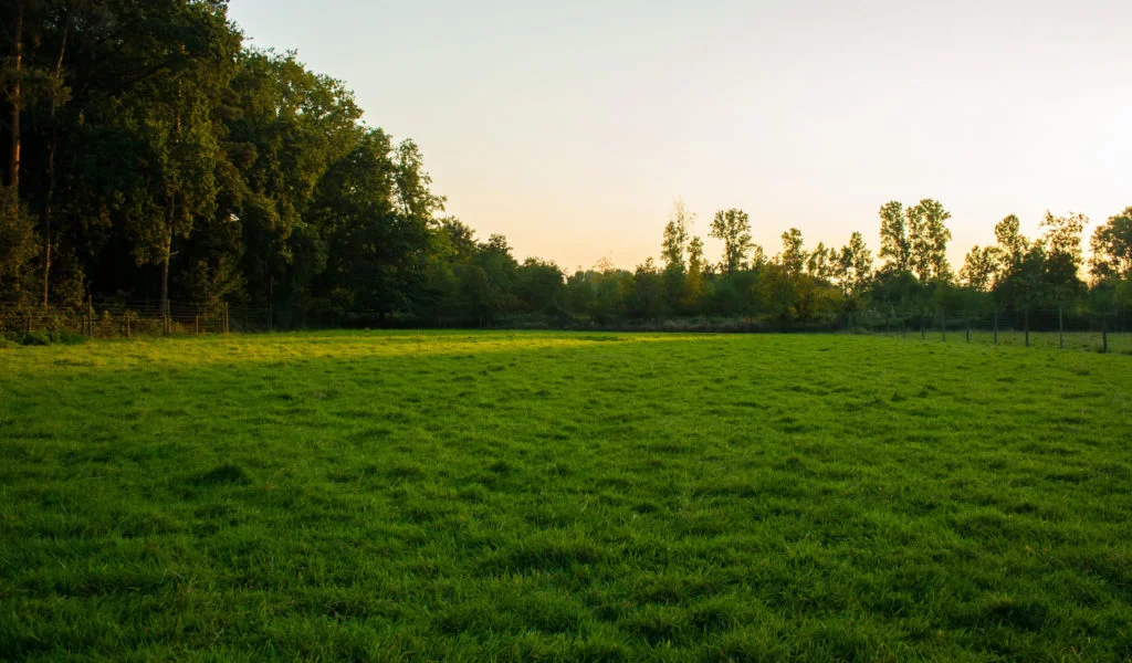 Kamp Kravaal overzicht