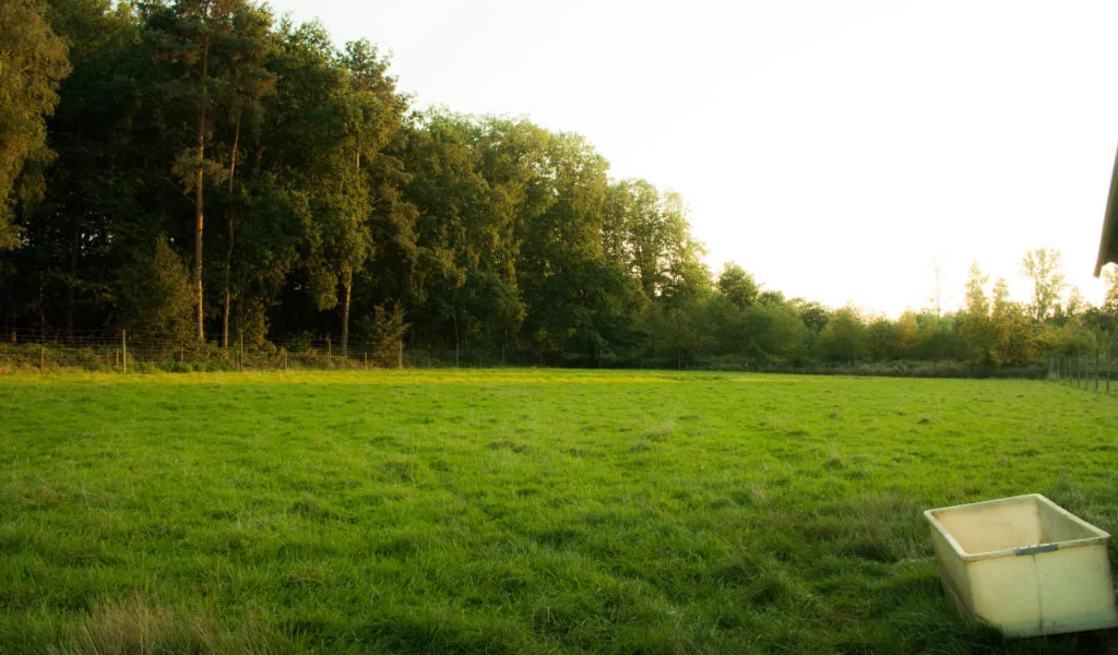 Kamp Kravaal weide