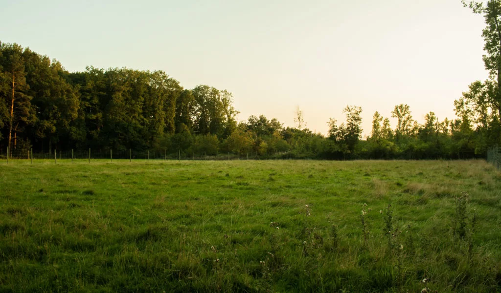 Kamp Kravaal overzicht