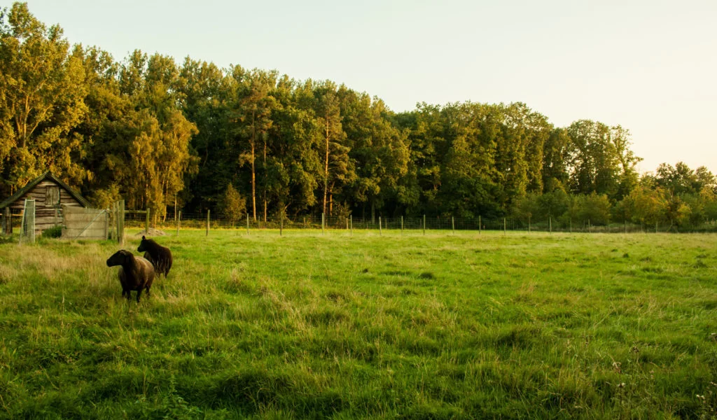 Kamp Kravaal overzicht