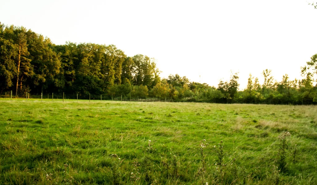 Kamp Kravaal overzicht