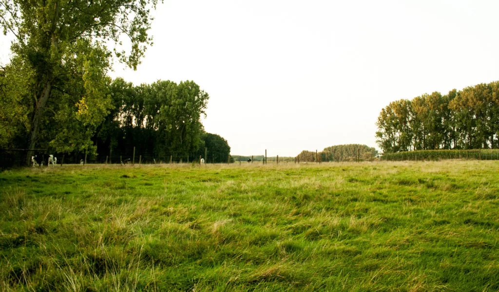 Kamp Kravaal overzicht