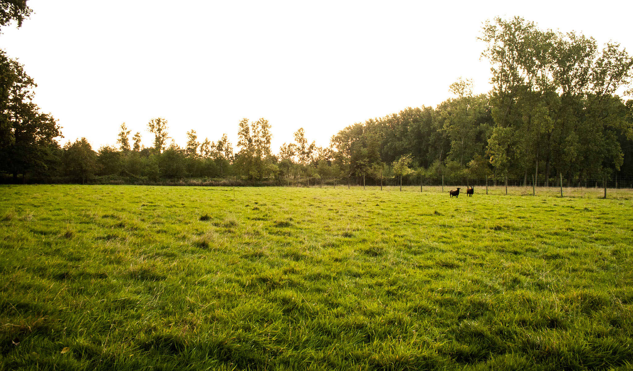 Kamp Kravaal overzicht