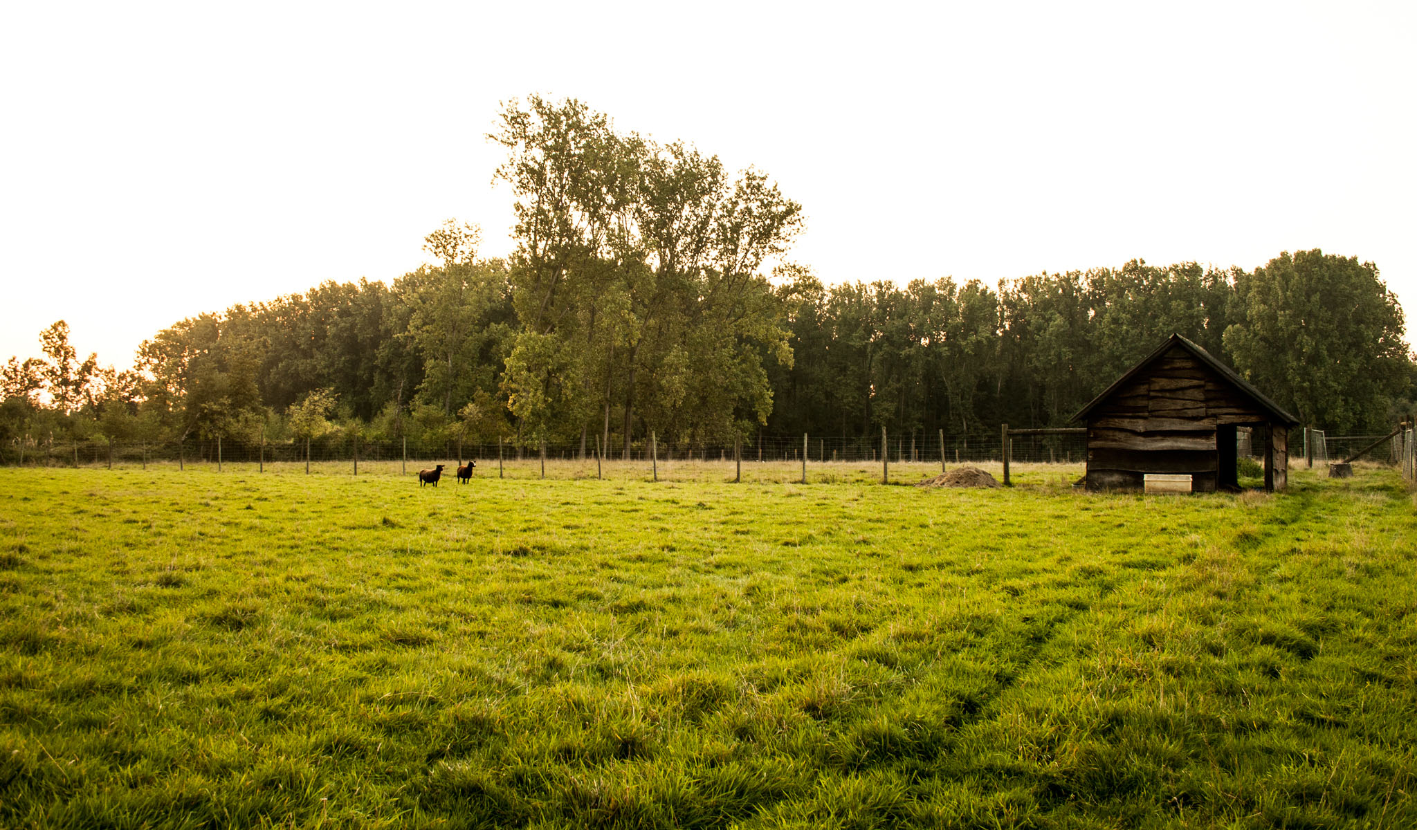 Kamp Kravaal overzicht