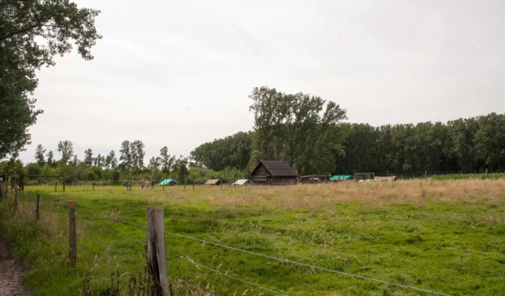 Kamp Kravaal weide